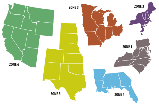 examp-virginia