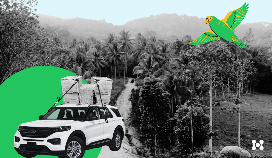 An SUV is shown traveling through a jungle with several large packages strapped to it's roof.