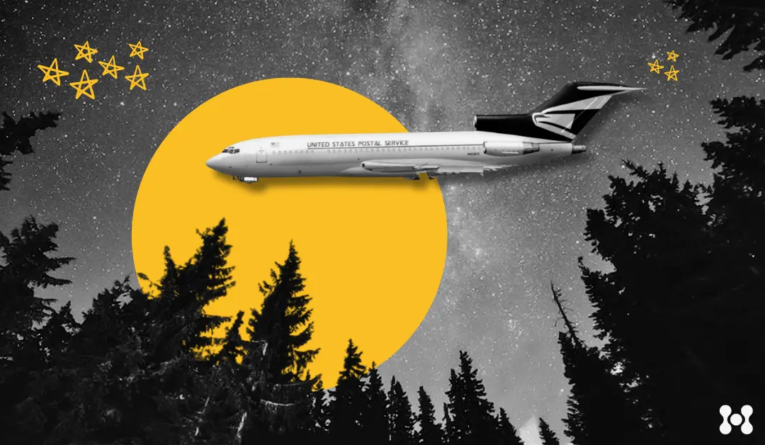 A USPS delivery plane is shown flying over a forest by night. There is a starry sky, and a solid yellow moon in the background.